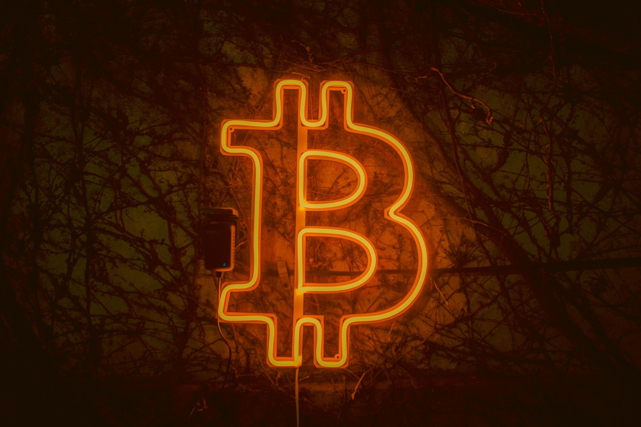 Bitcoin przebił 75 tys. dolarów. Shorty warte 4 mld dolarów zniknęły w dwa dni