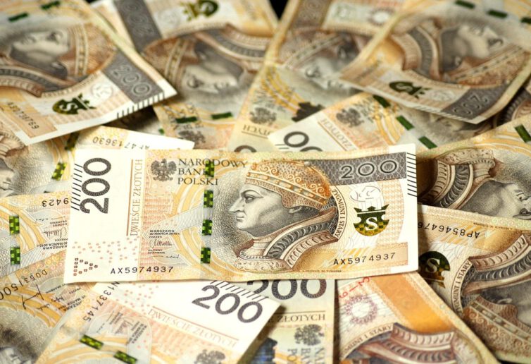 Polska waluta już dawno nie była tak słaba. Co gnębi złotego