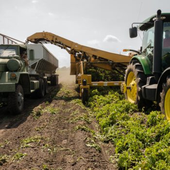 Raport ONZ: Większość rządowych nakładów na rolnictwo zniekształca ceny i szkodzi środowisku